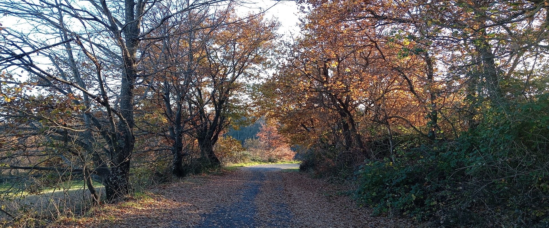UN ANELLO TRA GRADOLI E IL LAGO DI BOLSENA